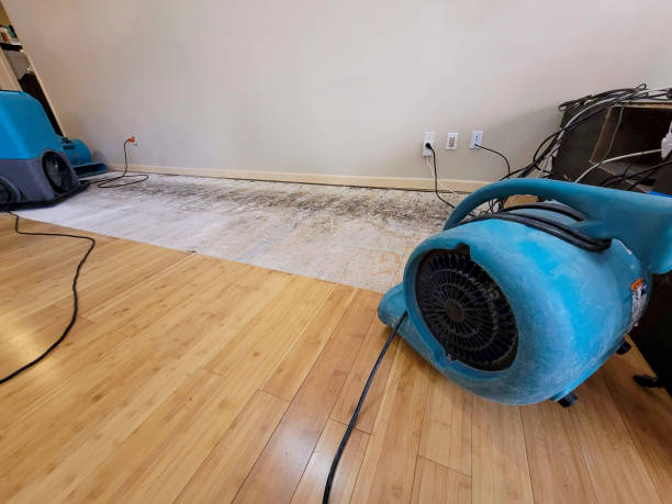 Professional Structural Drying technician working in Grantville, GA